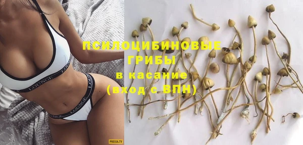 не бодяженный Белокуриха