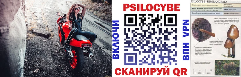 Псилоцибиновые грибы мухоморы  Купить  Первомайск 
