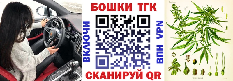 Купить где  Первомайск  Бошки Шишки семена 